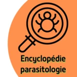 Logo of Encyclopédie de parasitologie android Application 